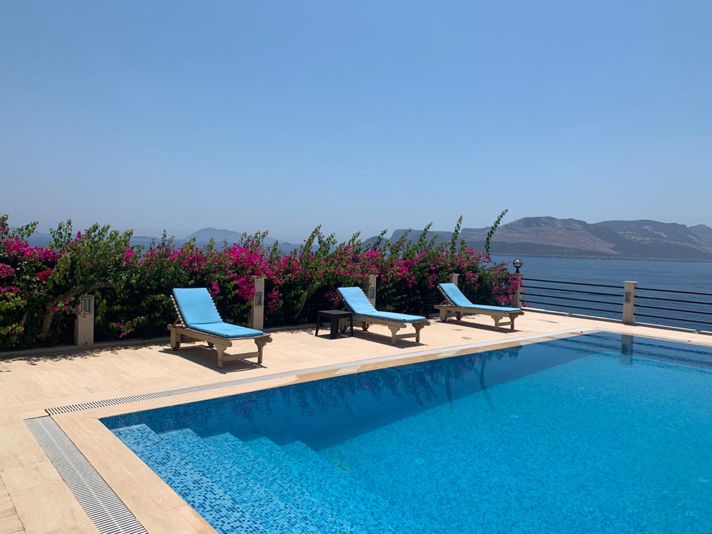 WhatsApp Image 2020-08-01 at 22.10.36 (3)